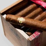 Fume D Amour Clementes | Box 25 | Illusione cigar - HK Migratory cigars