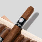 Surrogates Big Ten Lonsdale Extra Limited Edition 2024