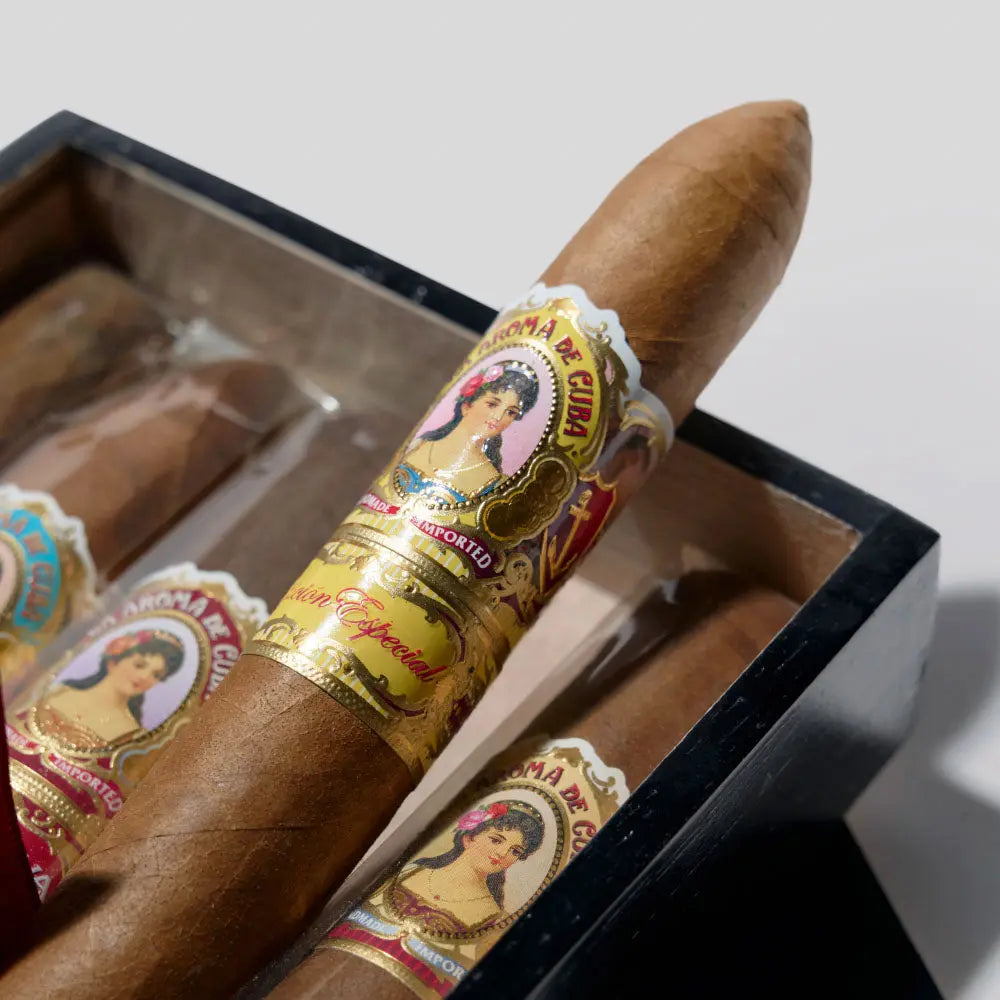 5 Cigar Assortment | Box 5 | La Aroma de Cuba cigar - HK Migratory cigars | 雪茄香港 | cigar hk
