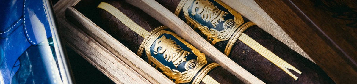 Liga Privada 10 Aniversario「A Savage Feast」——完整试吸评测