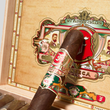 Fonseca Mexico Edition Toro Gordo | Box 20 | My Father cigar - HK Migratory cigars | 雪茄香港 | cigar hk
