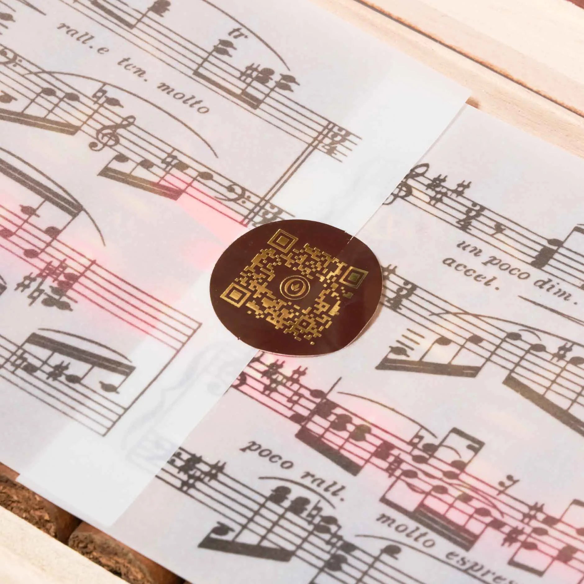 V系列米拉尼奥大托罗2024限量版