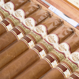 Damaso No.15 | Box 20 | Padron cigar - HK Migratory cigars | 雪茄香港 | cigar hk