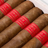 Serie D No.4 | Box 10 | Partagas cigar - HK Migratory cigars | 古巴雪茄 香港