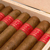 Serie D No.5 | Box 10 | Partagas cigar - HK Migratory cigars