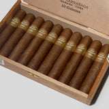 Galanes | Box 10 | Por Larranaga cigar - HK Migratory cigars