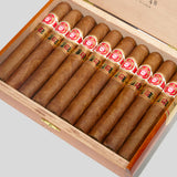 48 LCDH & HS | Box 10 | Punch cigar - HK Migratory cigars