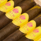 15周年托罗限量版