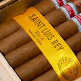 The A 亚太地区限定版(2025年份)