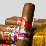 The A 亚太地区限定版(2025年份)