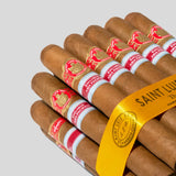 The A 亚太地区限定版(2025年份)