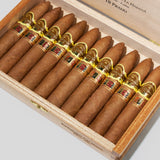 Prado LCDH (Vintage 2019)