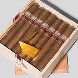 7th Corojo
