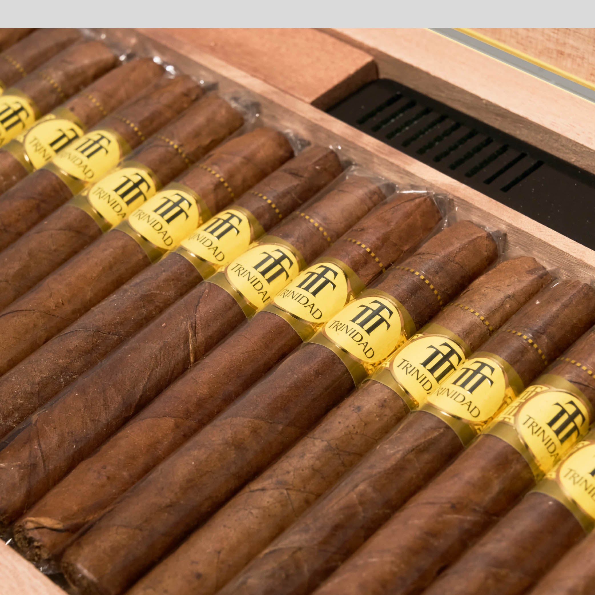 Short Humidor Year of The Dragon | Box 66 | Trinidadl cigar - HK Migratory 