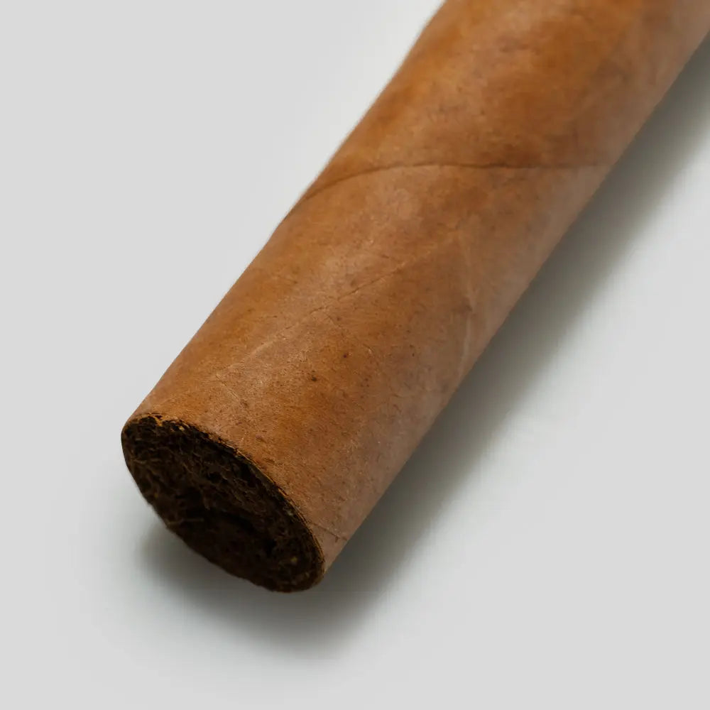Behike BHK 54 | Box 10 | Cohiba cigar - HK Migratory cigars