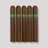 Umbagog Bronzeback (5 Sticks)