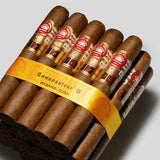 Connoisseur B LCDH & HS | Box 25 | H.Upmann cigar - HK Migratory cigars