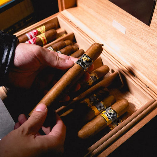 The Fundamentals of the Premium Cigar Experience
