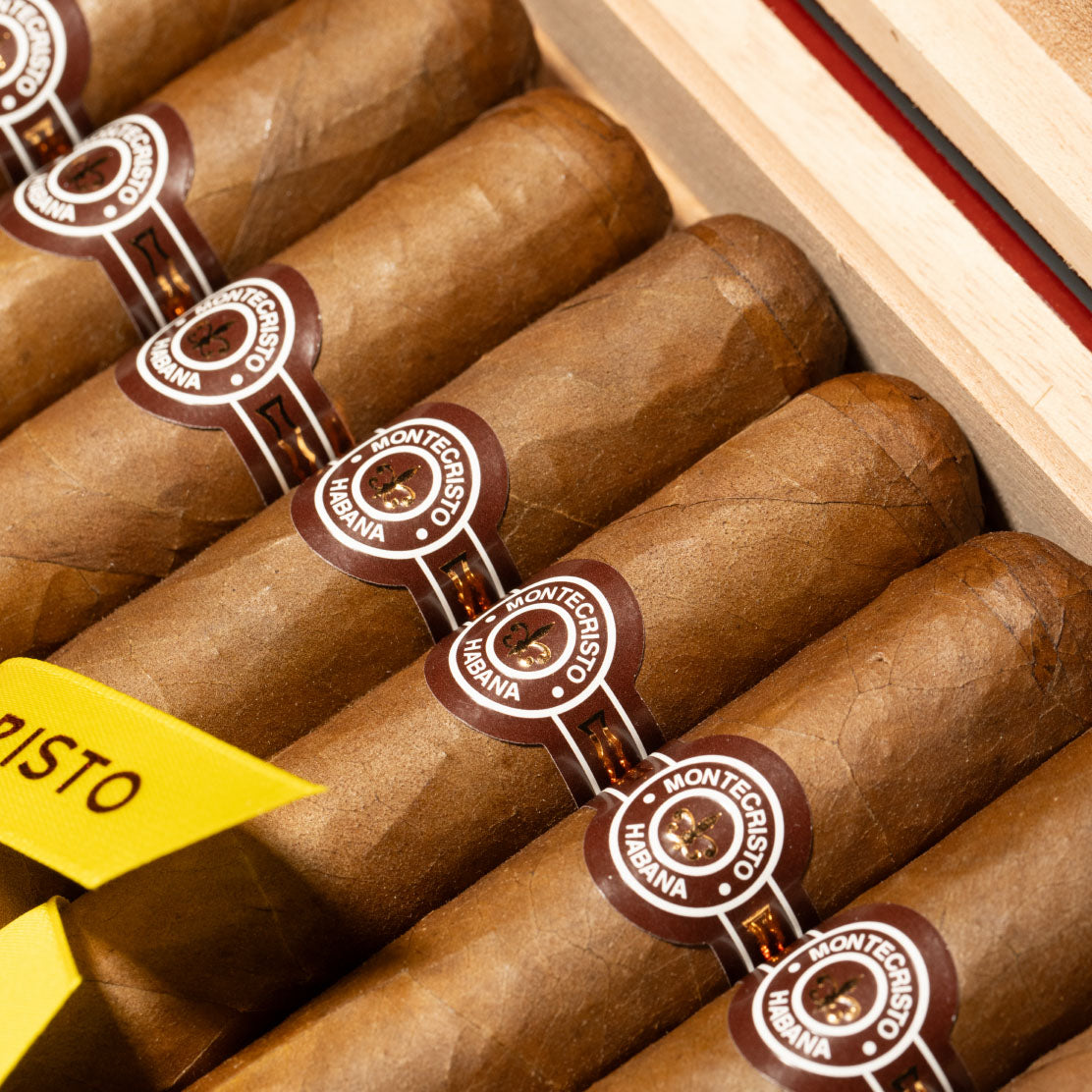 Double Edmundo Travel Humidor | Box 10 | Montecristo cigar - HK Migratory 