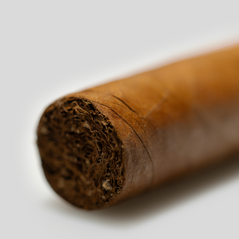Partagas Serie P No.2 Partagás Cuban cigars