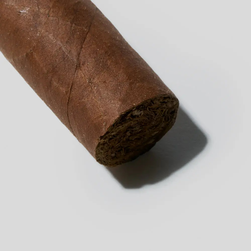 Reyes | Box 12 | Trinidadl cigar - HK Migratory cigars